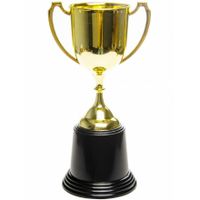 Prijsbeker/trofee met handvatten - goud - kunststof - 23 cm - thumbnail