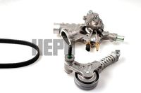 Waterpomp + multiriemset PK03341