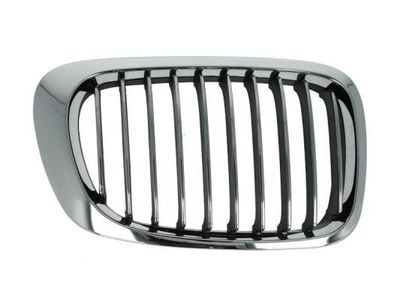 Radiateurgrille 6502070061993PP