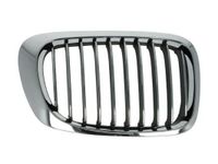 Radiateurgrille 6502070061993PP