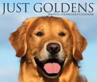 Golden Retriever Scheurkalender 2026 Boxed