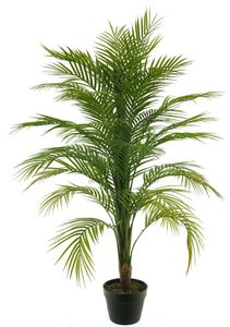 Areca palm in pot green 120cm