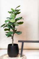 Kunstplant - Ficus Lyrata - Tabaksplant - 125 cm