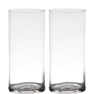 Set van 2x stuks transparante home-basics cylinder vorm vaas/vazen van glas 19 x 9 cm