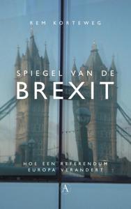 Spiegel van de Brexit (Paperback)