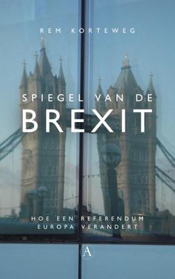 Spiegel van de Brexit (Paperback)