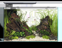 Superfish Quadro 70 Pro wit Superfish Quadro 70 Pro wit