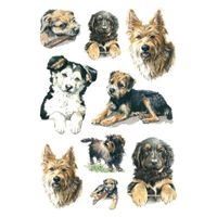 81x Honden/puppy dieren stickers    - - thumbnail