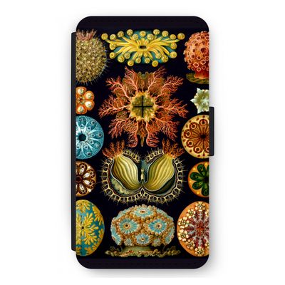 Haeckel Ascidiae: iPhone 12 mini Flip Hoesje
