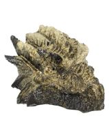 Kristallen Draken Schedel Agaat/Shungiet Orgoniet - 10 cm