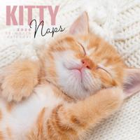 Slapende Kittens Kalender 2026