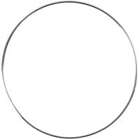 https://www.cchobby.nl/metalen-draadring-d-7-cm-dikte-1-5-mm-zilver-10-stuk-1-doos