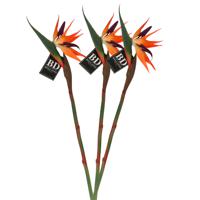 Kunstbloem Strelitzia/Paradijsvogelplant - 3x - 84 cm - losse steel - kunst zijdebloem - thumbnail