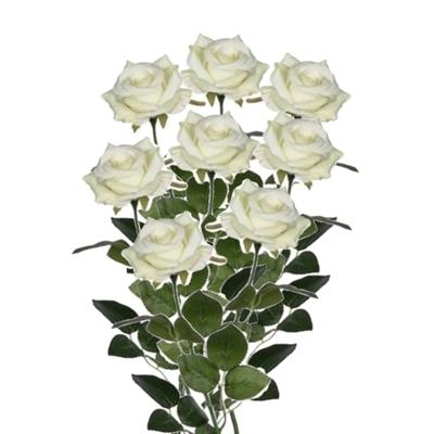 Mica decorations kunstroos kunstbloemen - 8x - creme wit - 66 cm - boeketten - rozen