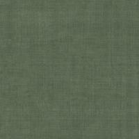 Dutch Wallcoverings Midolin - Granskott Dark Green - Groen