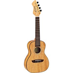 Ortega Horizon Series RUMG concert ukelele met gigbag