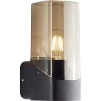 Brilliant Minou 44310/93 Buitenlamp (wand) E27 Zwart, Rookglas