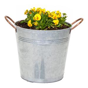 Plantenpot/bloempot emmer Jean - zink - zilver - D16 X H15 cm