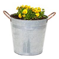 Plantenpot/bloempot emmer Jean - zink - zilver - D16 X H15 cm - thumbnail