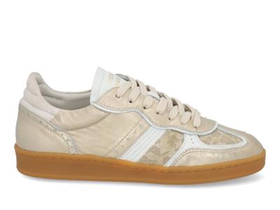 Piedi Nudi Imola 06.01 powder gold Goud maat 41