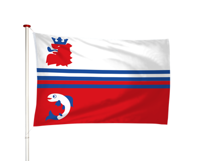Vlag Neerijnen