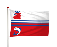 Vlag Neerijnen