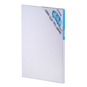 Canvas schildersdoek 40 x 50 cm   -