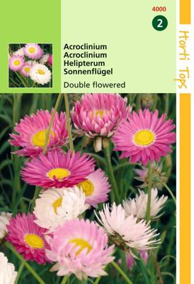 Acroclinium Helipterum Roseum Dubbelbl. Gemengd - Hortitops