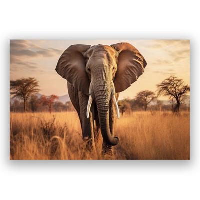 Glasschilderij - Olifant bij zonsondergang - 120 x 80 cm