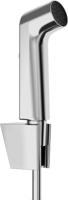 Hansgrohe bidethanddouche 1jet EcoSmart met Porter S douchehouder en doucheslang 125 cm, chroom Hansgrohe bidethanddouche 1jet EcoSmart met Porter S douchehouder en doucheslang 125 cm, chroom