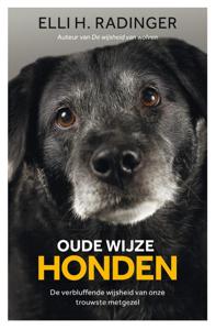 Oude wijze honden (Hardback)