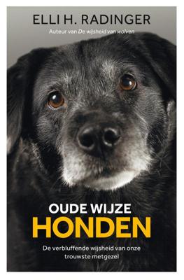 Oude wijze honden (Hardback)