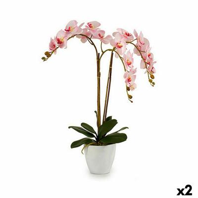 Decoratieve plant Ibergarden A18124-71-3WH Plastic Orchidee 40 x 77 x 35 cm (2 Stuks)