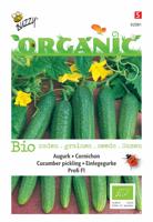 Organic Augurk Profi F1 (Skal 14725) Tuinplus - Buzzy