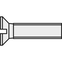 TOOLCRAFT 839955 Verzonken schroeven M3 20 mm Sleuf DIN 963 Kunststof, Polyamide 10 stuk(s)