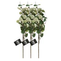Kunstbloem/kunsttak Eucalyptus Narvik - 3x - 92 cm - lichtgroen - kunst zijdebloemen