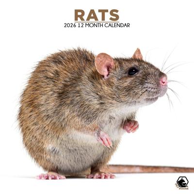 Ratten Kalender 2026