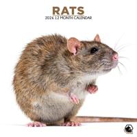 Ratten Kalender 2026