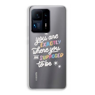 Right Place: Xiaomi Mi Mix 4 Transparant Hoesje