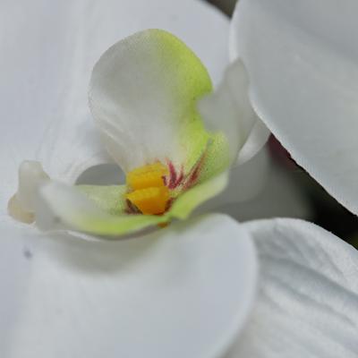 Phalaenopsis Kunstbloem 90cm wit