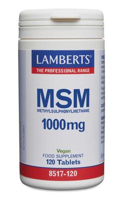 Lamberts MSM 1000mg