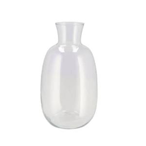 DK Design Bloemenvaas Mira - fles vaas - transparant glas - D21 x H37