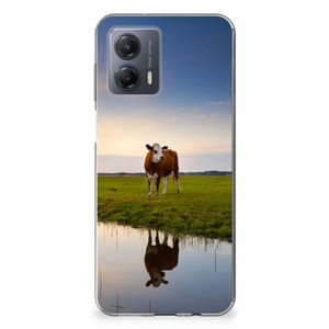 Motorola Moto G53 TPU Hoesje Koe