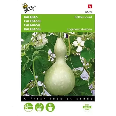 Laganeria, Sierkalebas Giant Bottle