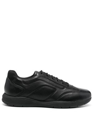 Geox baskets Spherica - Noir