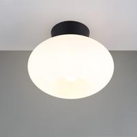 Trio PlafondlampSidera wit Ø 26cm - R66831001