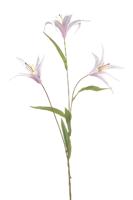 Lily wild spray x3 lt pink 100 cm Emerald - Emerald