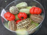 Sierfruit diverese soorten siervruchten per pakje XL - Warentuin natuurlijk Sierfruit diverese soorten siervruchten per pakje XL - Warentuin natuurlijk