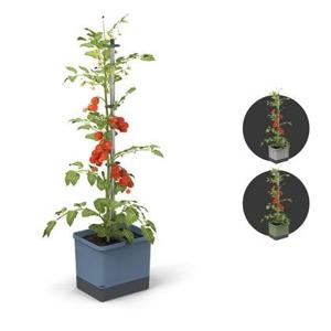 Gusta Garden - Tom Tomato - Tomatenplantenbak met watertank