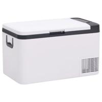 VidaXL Koelbox met handvat 25 l pp & pe zwart en wit